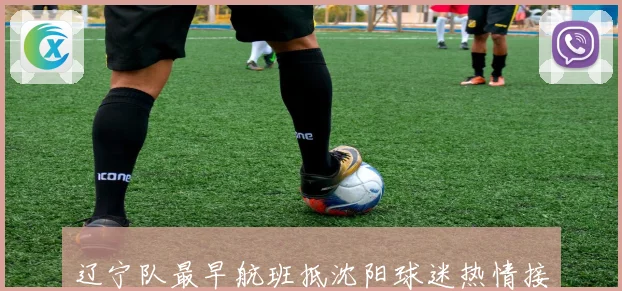 辽宁队最早航班抵沈阳球迷热情接机莱迪状态良好赵继伟李晓旭低调赛场复盘