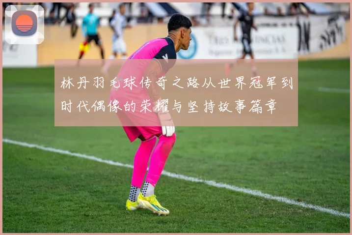 林丹羽毛球传奇之路从世界冠军到时代偶像的荣耀与坚持故事篇章