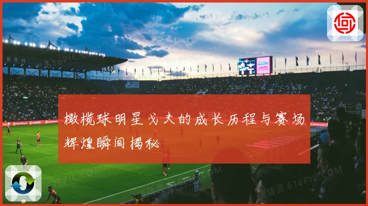 橄榄球明星戈夫的成长历程与赛场辉煌瞬间揭秘